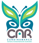 Logo_CAR.png